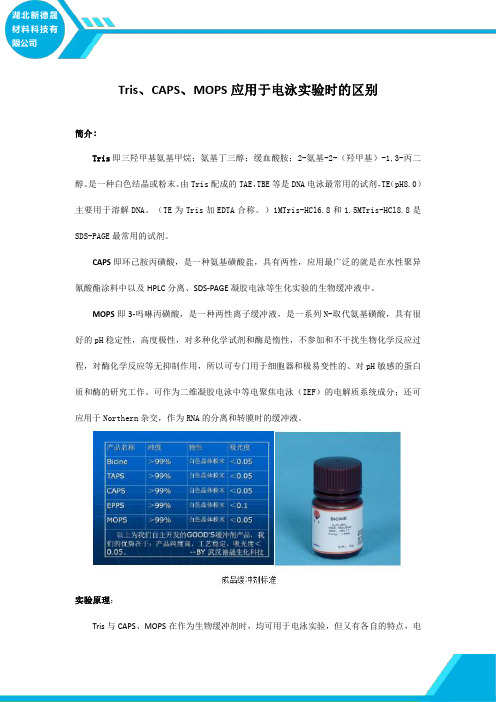 Tris、CAPS、MOPS应用于电泳实验时的区别