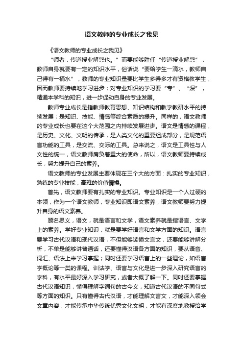 语文教师的专业成长之我见