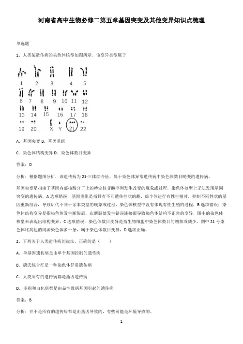 河南省高中生物必修二第五章基因突变及其他变异知识点梳理