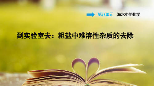 鲁教版化学九年级下册第八单元《海水中的化学》到实验室去：粗盐中难溶性杂质的去除