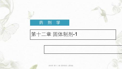 药剂学-第十二章-固体制剂-1(第8版)ppt课件