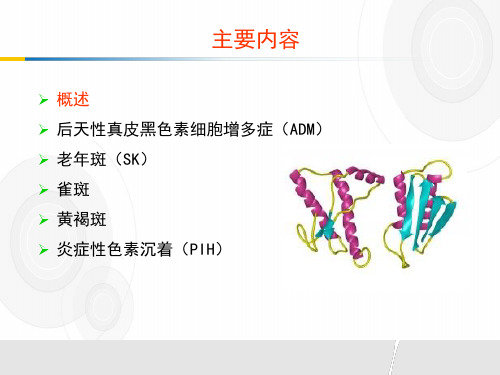 色斑的治疗 ppt课件