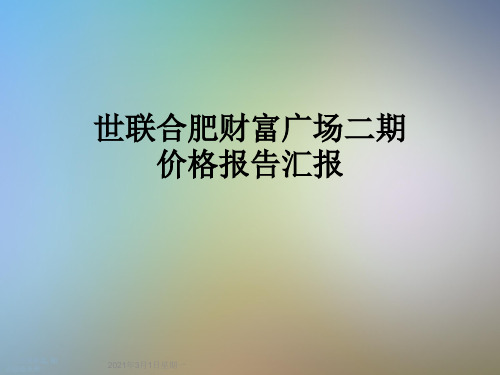 世联合肥财富广场二期价格报告汇报