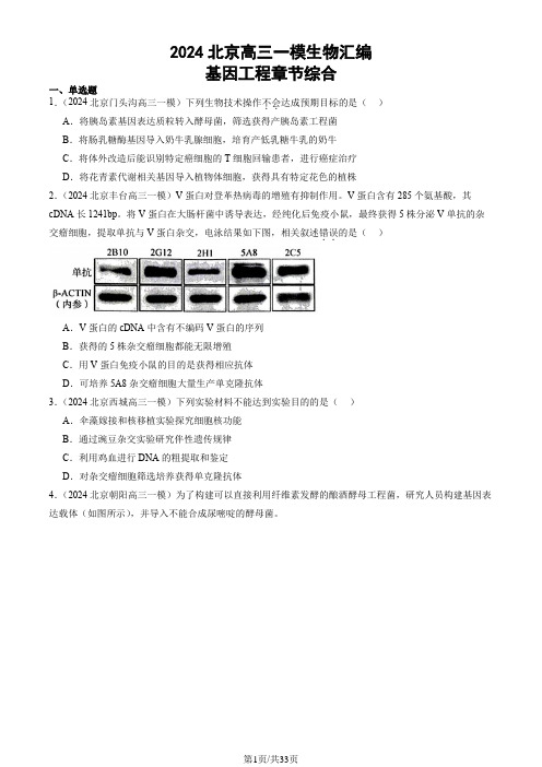 2024北京高三一模生物汇编：基因工程章节综合