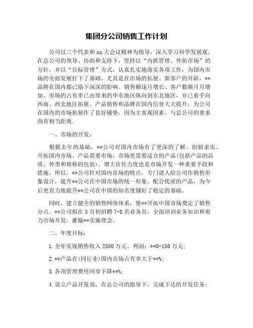 集团分公司销售工作计划