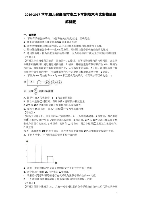 2016-2017学年湖北省襄阳市高二下学期期末考试生物试题 解析版