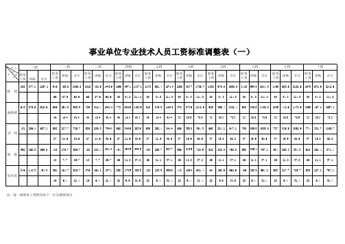 事业单位专业技术人员工资标准调整表