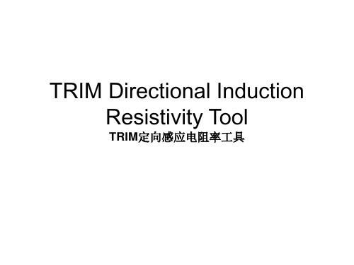 TRIM定向感应电阻率工具.