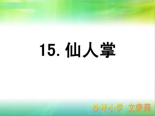 15课仙人掌文1