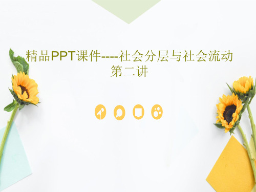 精品PPT课件----社会分层与社会流动第二讲共27页