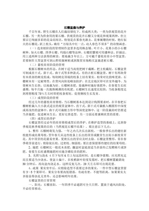 石榴树盆景的要求或方法