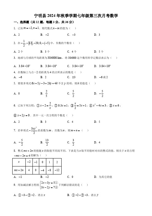 广西壮族自治区崇左市宁明县2024-2025学年七年级上学期12月月考数学试题(含答案)