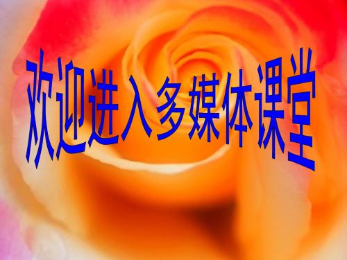 〔人教版〕灿烂的宋元文化(二) 教学PPT课件1