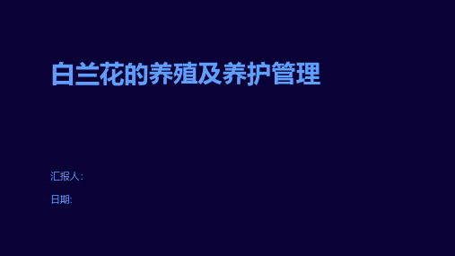 白兰花的养殖及养护管理