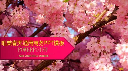 唯美春天通用商务PPT模板