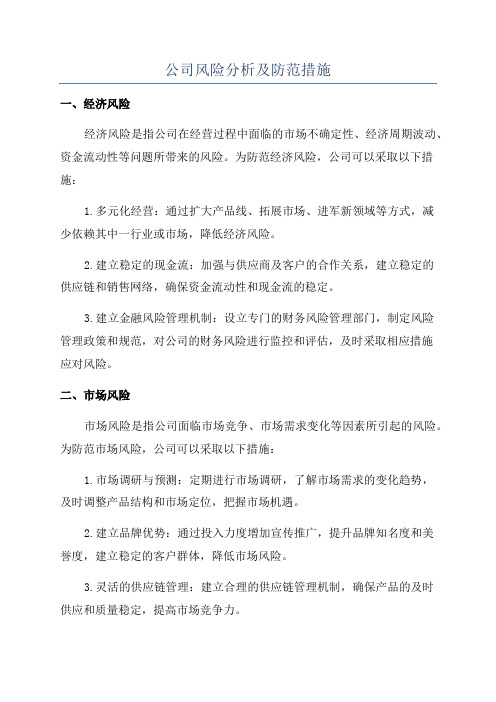 公司风险分析及防范措施