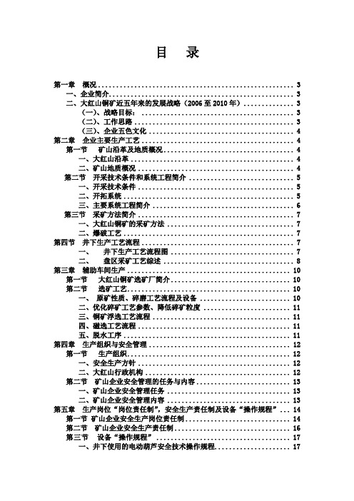 大红山实习报告