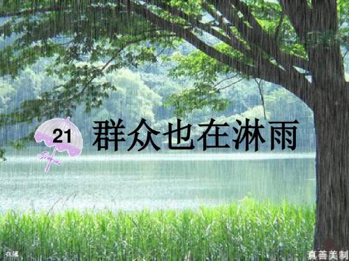 21.群众也在淋雨PPT(语文S版)