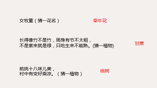 第19课《一棵小桃树》课件(共30张ppt)+++2022-2023学年统编版语文七年级下册