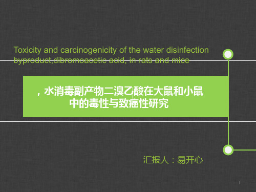 水消毒副产物二溴乙酸在大鼠和小鼠中的毒性与致癌性研究   ppt课件