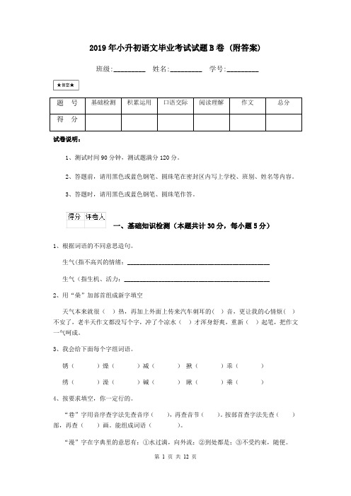 2019年小升初语文毕业考试试题B卷 (附答案)