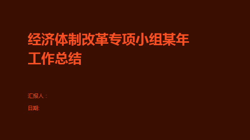 经济体制改革专项小组某年工作总结