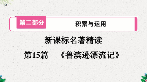 部编版中考语文 名著精读  第15篇 《鲁滨逊漂流记》