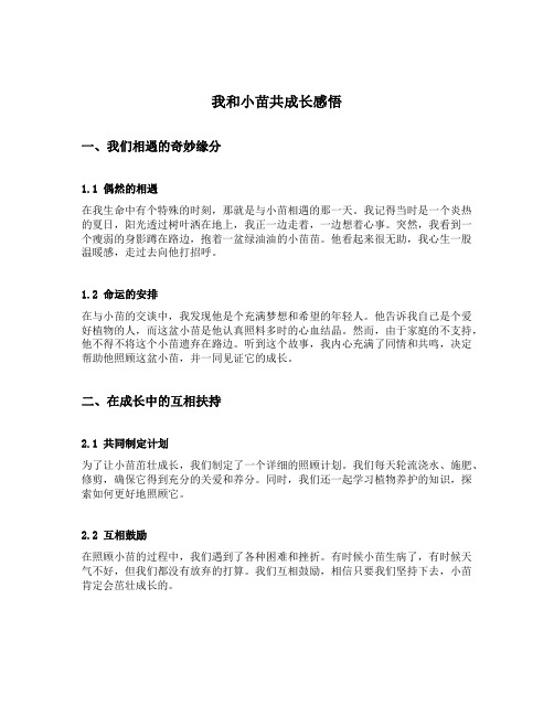 我和小苗共成长感悟