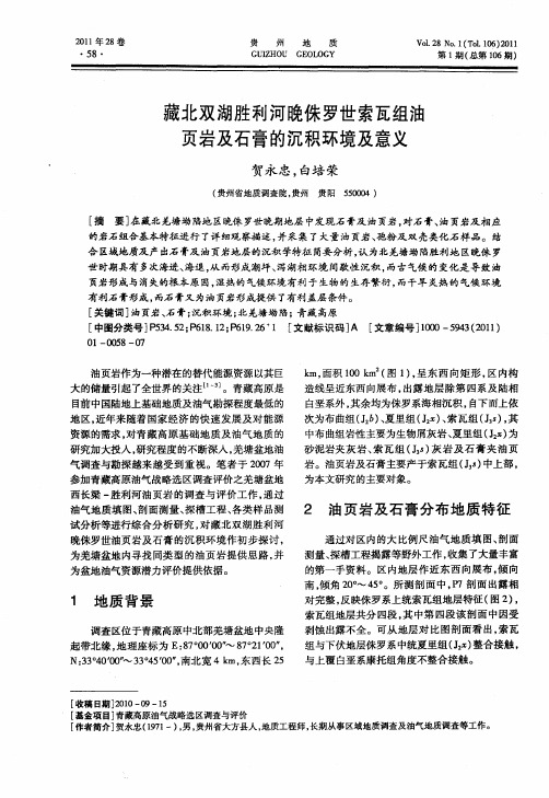 藏北双湖胜利河晚侏罗世索瓦组油页岩及石膏的沉积环境及意义