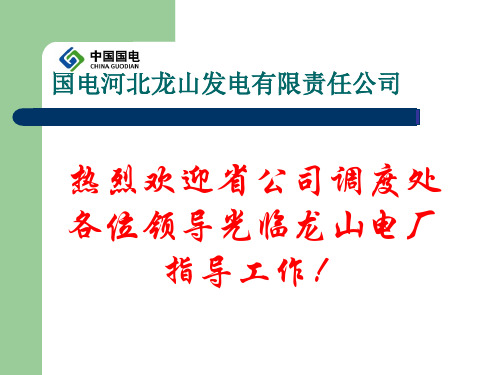 电厂介绍