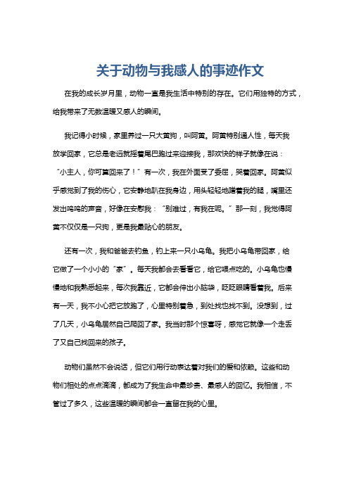 关于动物与我感人的事迹作文