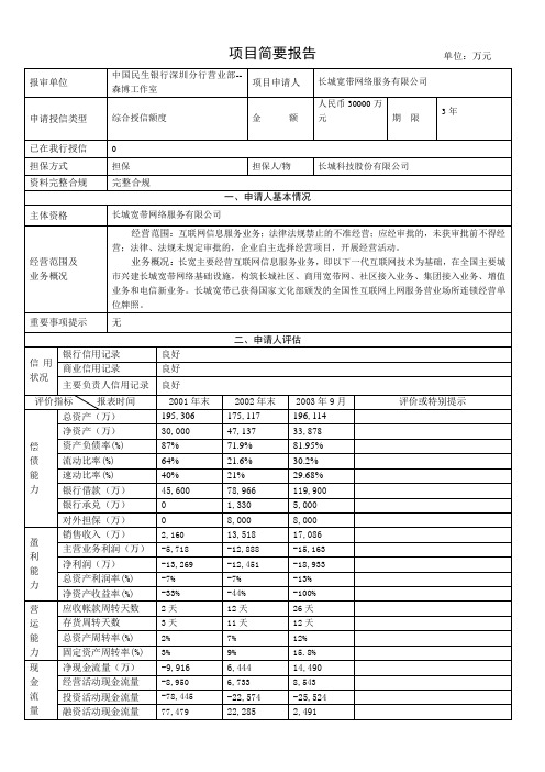 民生银行授信全套资料简要报告.doc