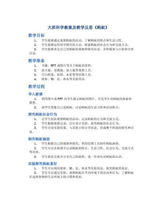 大班科学教案及教学反思《蚂蚁》