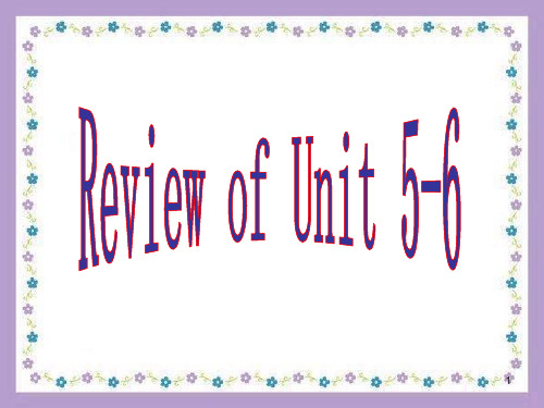 仁爱八年级Review of Unit 5-6(课堂PPT)