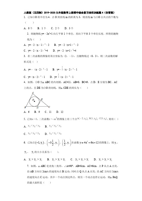 人教版(五四制)2019-2020九年级数学上册期中综合复习培优训练题4(含答案)