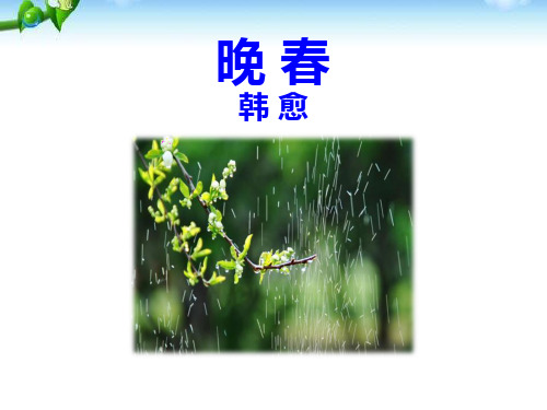 《晚春》PPT