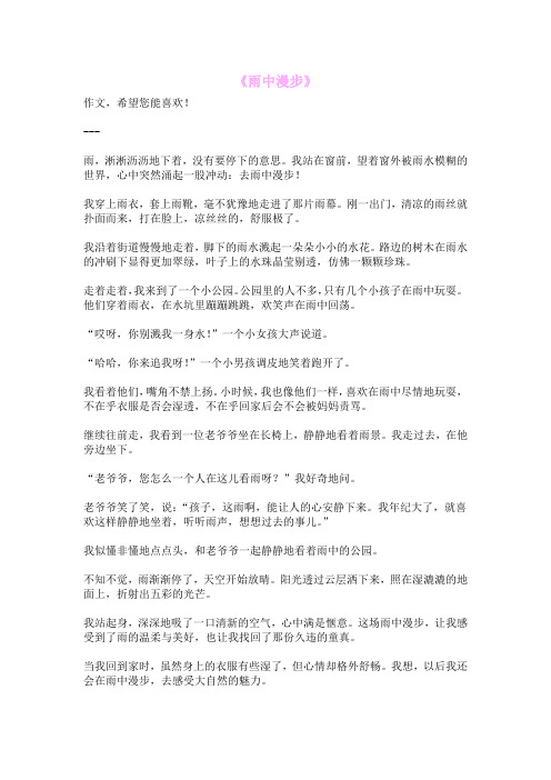 《雨中漫步》