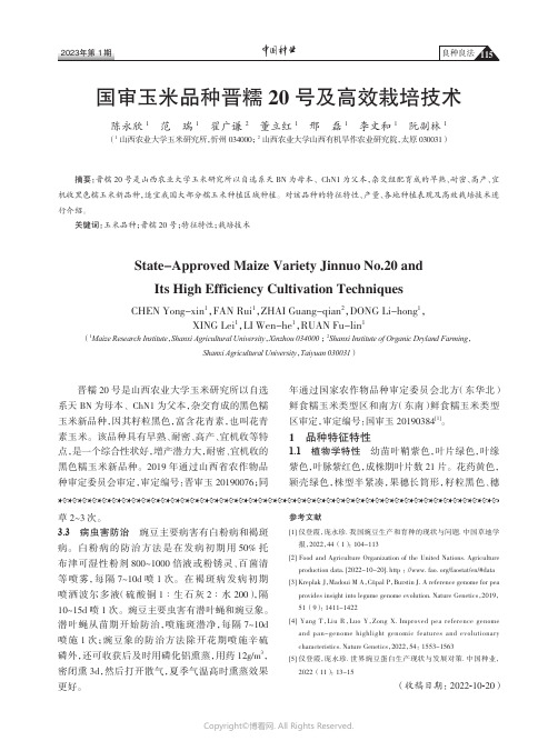 国审玉米品种晋糯20号及高效栽培技术