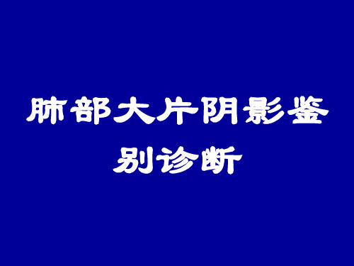 肺部大片阴影影像诊断