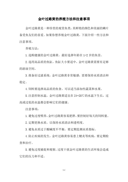 金叶过路黄的养殖方法和注意事项