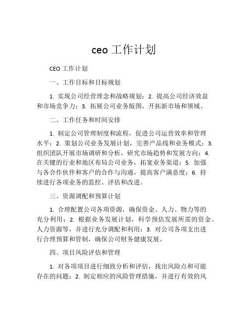 ceo工作计划