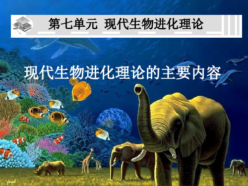 【课件】人教版生物必修二-7.2-现代生物进化论的主要内容(共49张PPT).