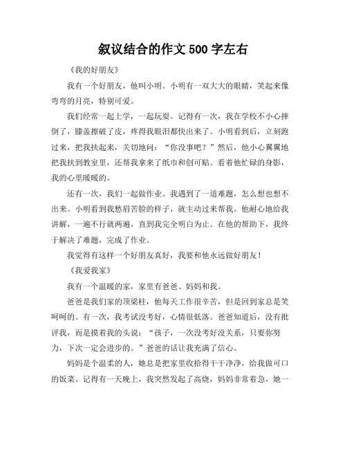 叙议结合的作文500字左右