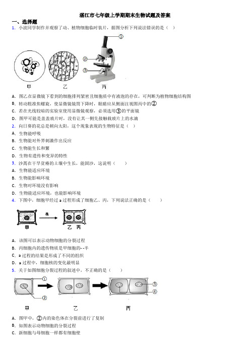 湛江市七年级上学期期末生物试题及答案