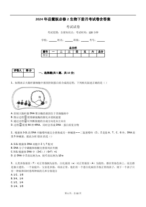 2024年岳麓版必修2生物下册月考试卷含答案