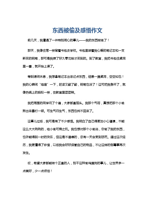 东西被偷及感悟作文