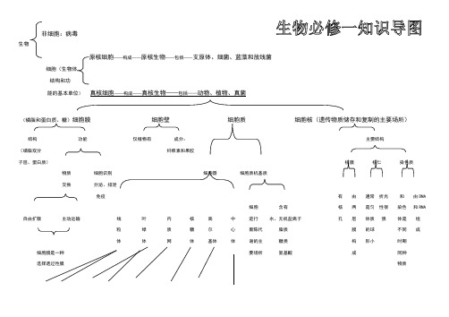 生物必修一知识导图