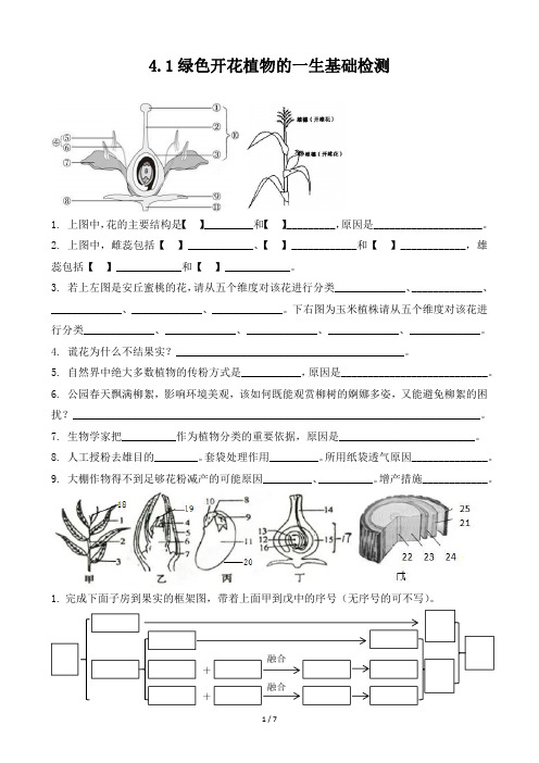 初中生物专题4.1绿色开花植物的一生基础背默带答案直接打印版