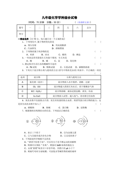 九年级化学学科综合试卷