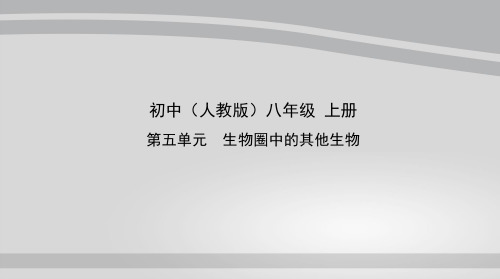 人教版生物八年级上册课件 第一节腔肠动物和扁形动物(55张ppt)